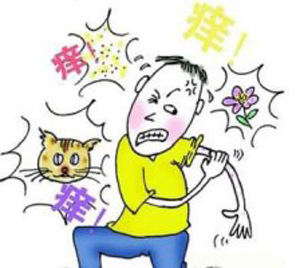 得了季节性皮炎饮食上要注意哪些